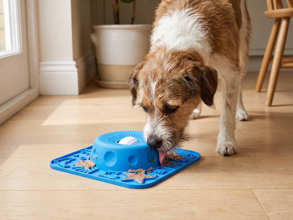 A dog working kibble out of the petal maze