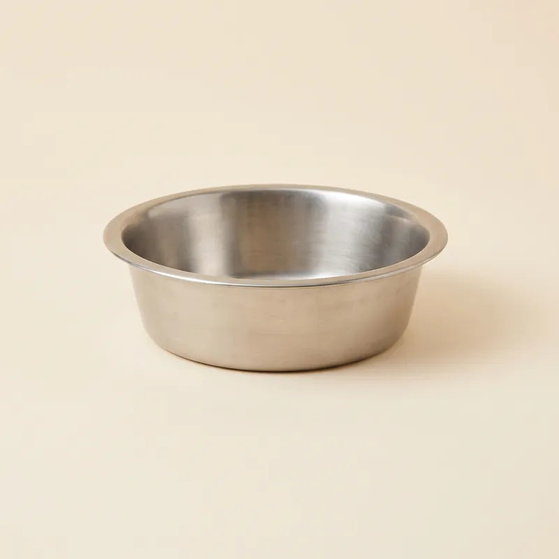 A regular dog bowl
