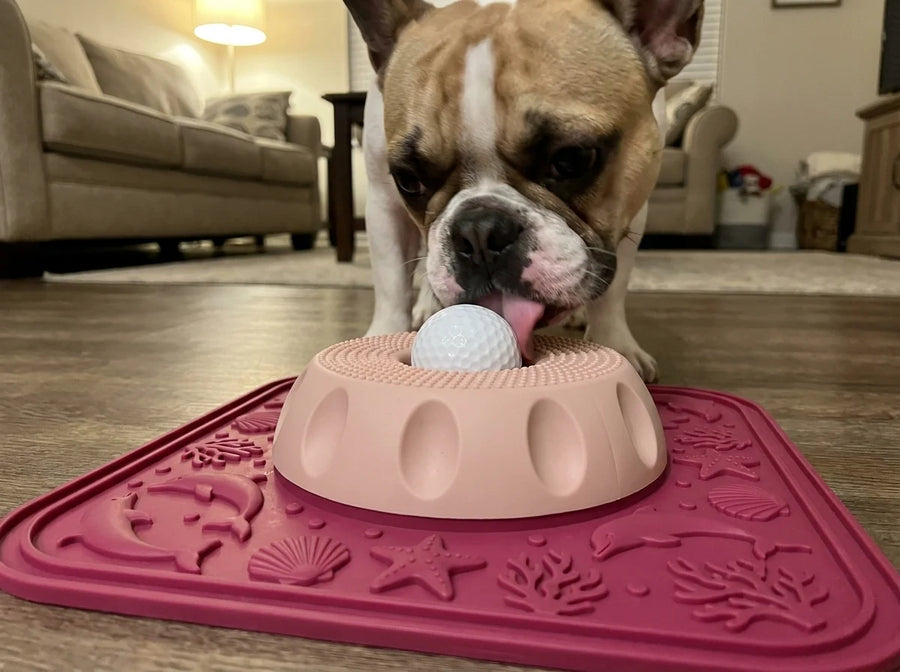 Dana R.'s dog with the Lapwell mat