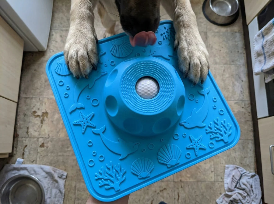 Priya S.'s dog with the Lapwell mat