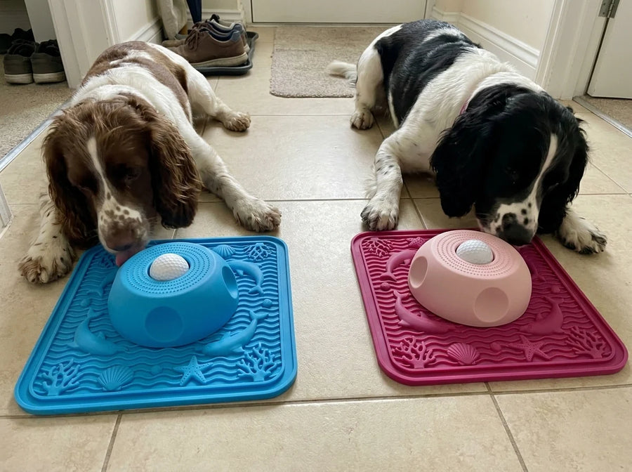 Jen K.'s dog with the Lapwell mat