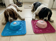 Jen K.'s dog with the Lapwell mat