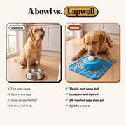 A steel bowl vs. Lapwell