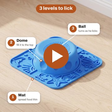 How Lapwell works: 3 levels to lick